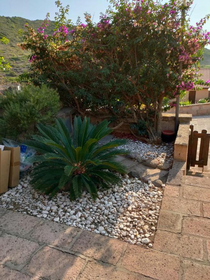 Apartament Porto Alabe Sardegna.... A Due Passi Dal Mare Tresnuraghes Zewnętrze zdjęcie